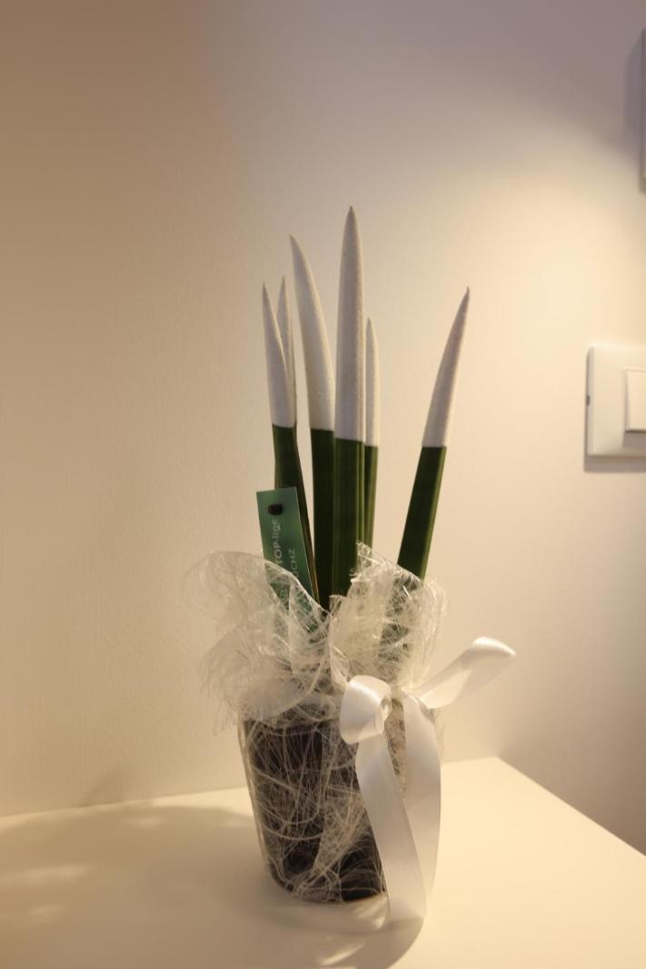 Ruffini Rooms 泰尔莫利 外观 照片